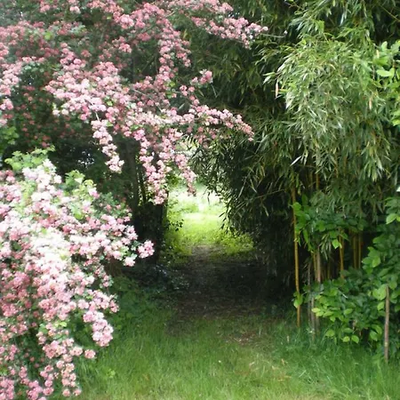 Holiday home Le Moulin De La Chaussee *